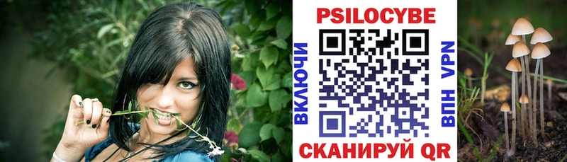 Псилоцибиновые грибы мухоморы  mega как зайти  Нарткала  закладка 